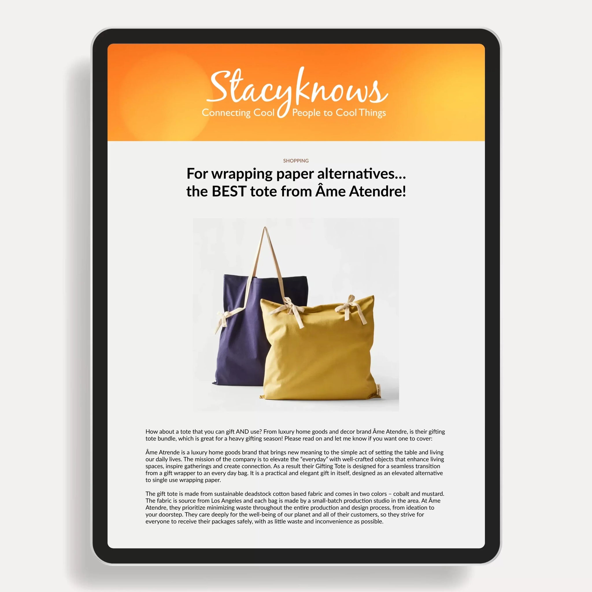 Gifting Tote Bundle Featured on Stacy Knows