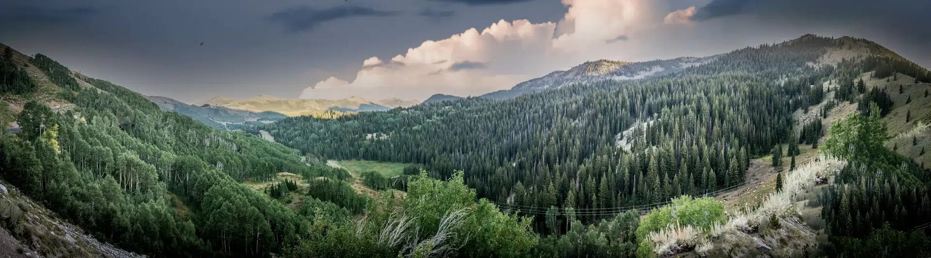 How to Host a Summer Gathering, Park City Style