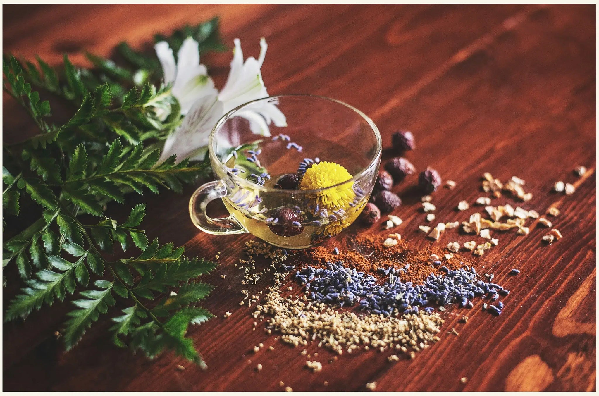 Spring Wellness Drinks: Seasonal Recipes for Nourishment & Renewal